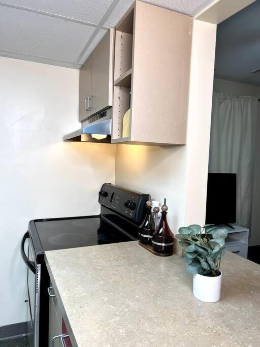 Midtown Flat Near Overton Park & Downtown Memphis Buitenkant foto
